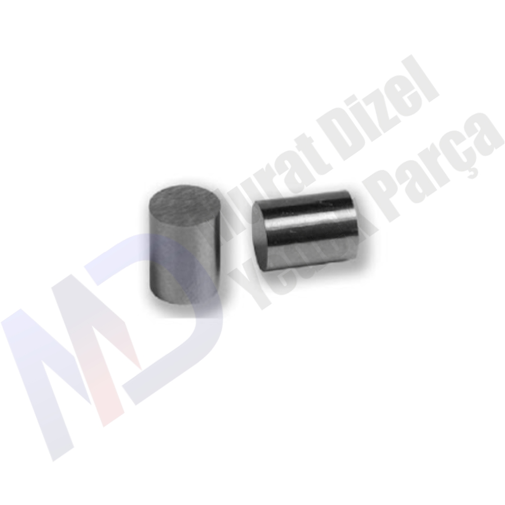 BOSCH TAZZİK PİSTONU (STD-0.005-0.010) 10lu paket